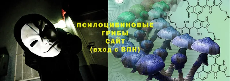 Псилоцибиновые грибы прущие грибы  OMG онион  Моршанск 